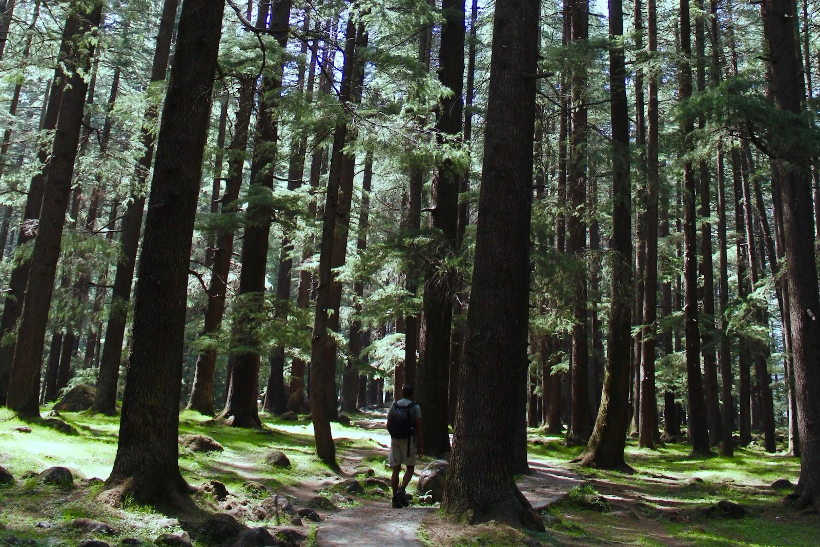 4 Reasons I Support You Being Selfish