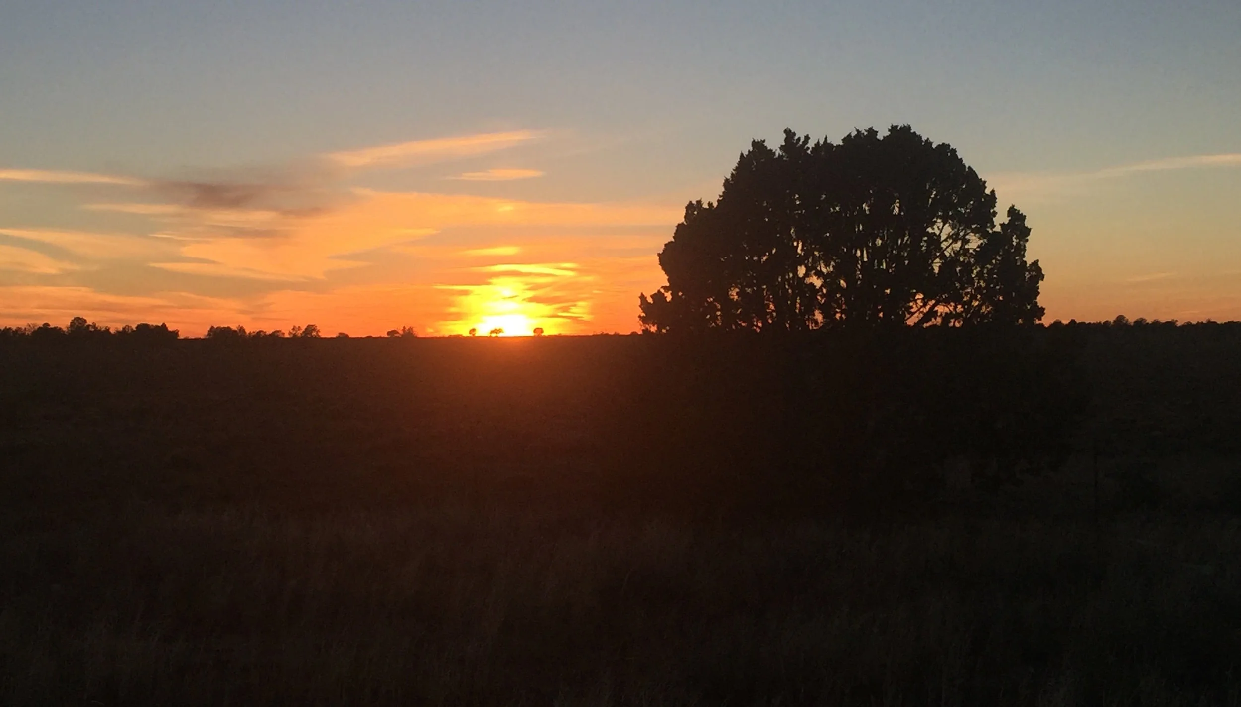 Expanding Horizons Through Books