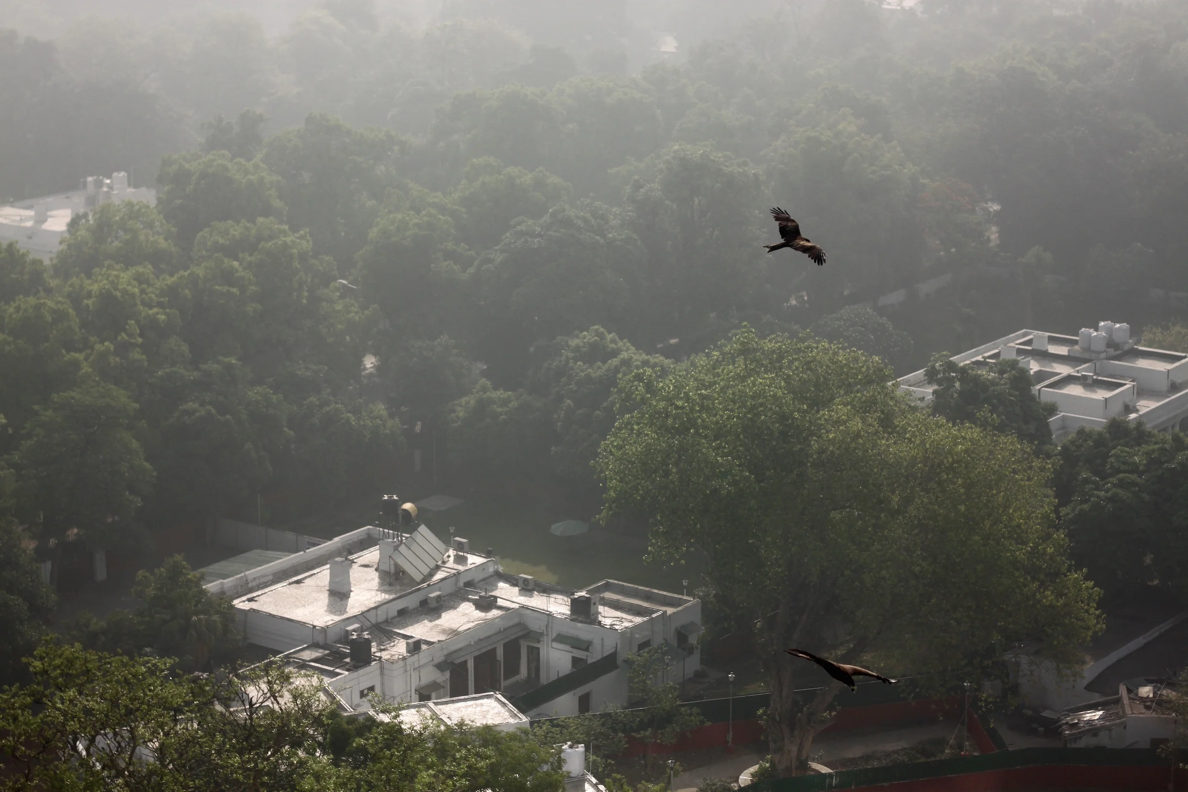 Overcoming a World of Media Distractions