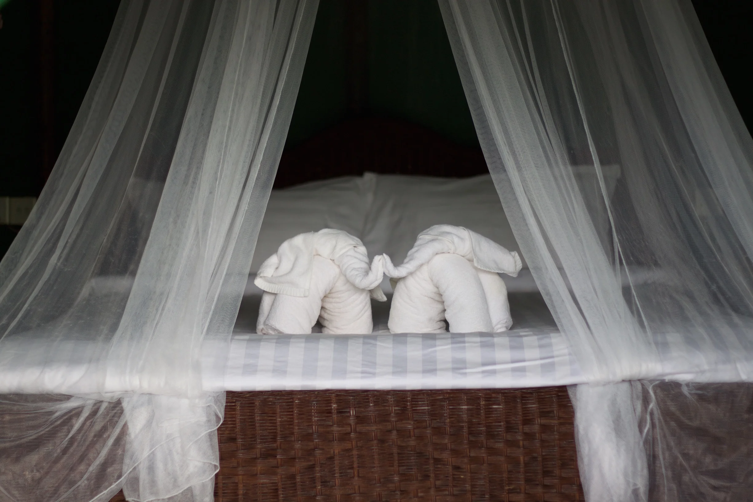 Selfless Acts of Kindness